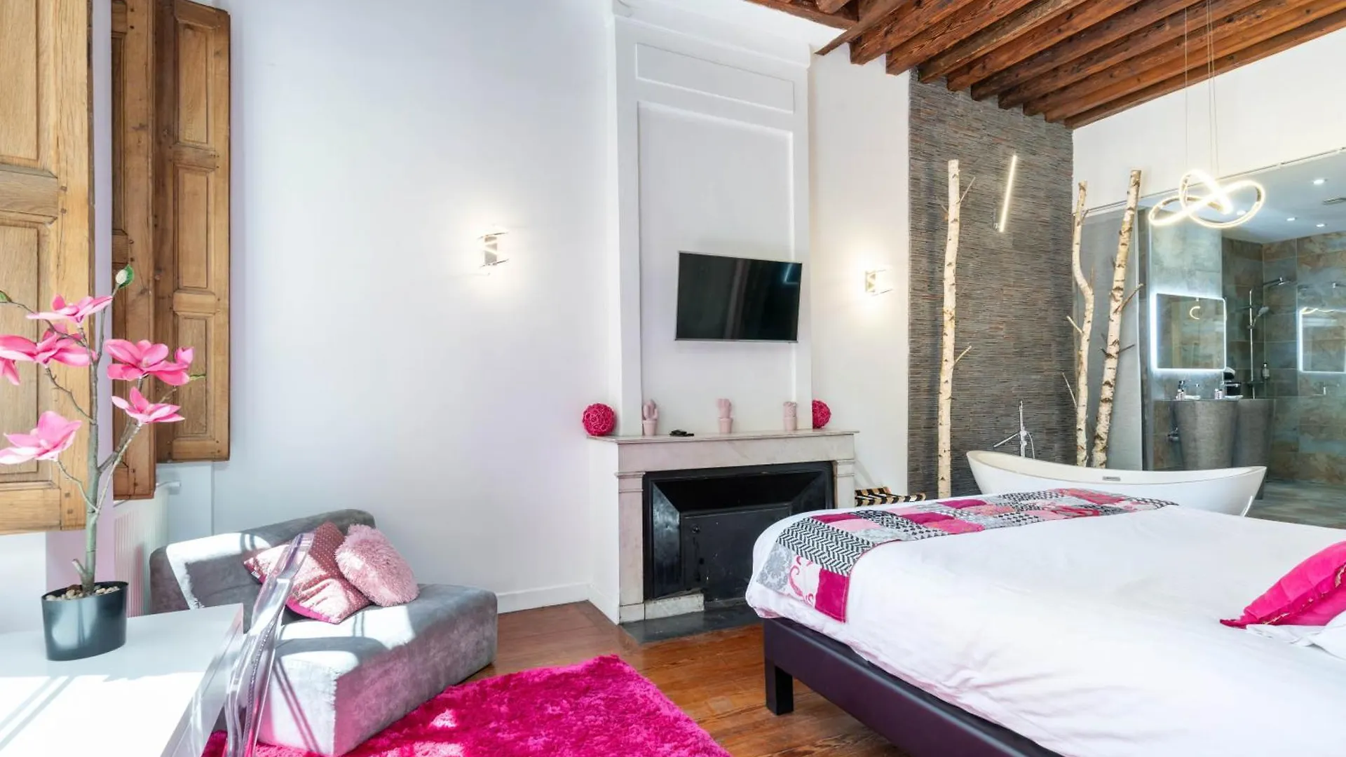 Le XVI De La Rose Apartment Lyon 0*,  France