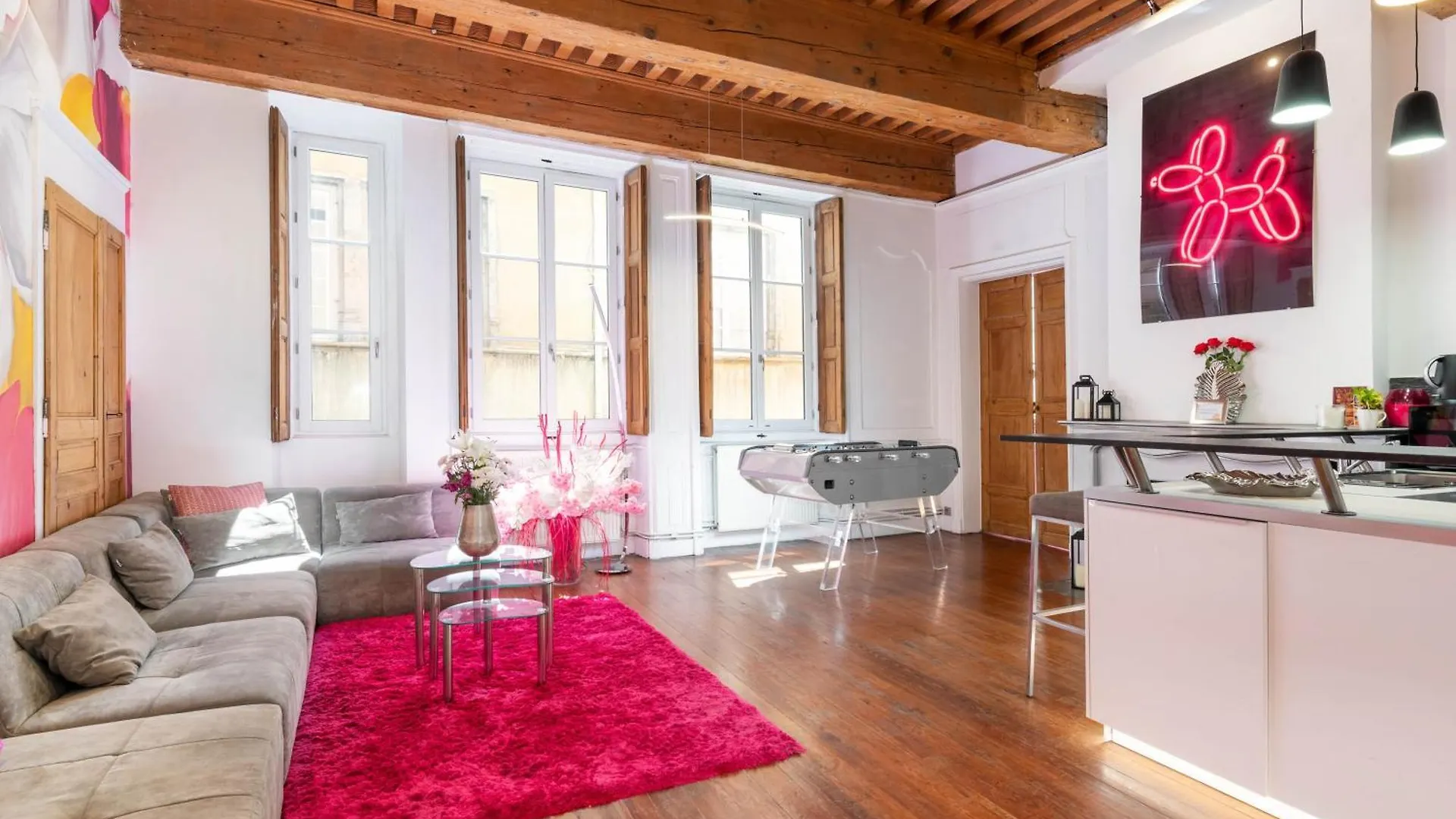 Le XVI De La Rose Apartment Lyon